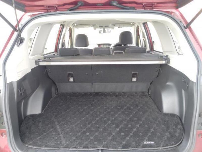 FORESTER