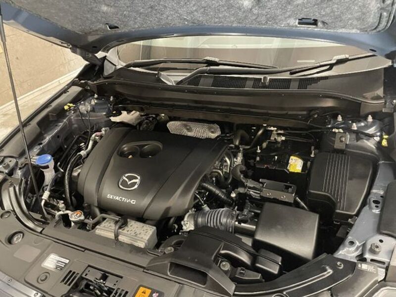CX-8