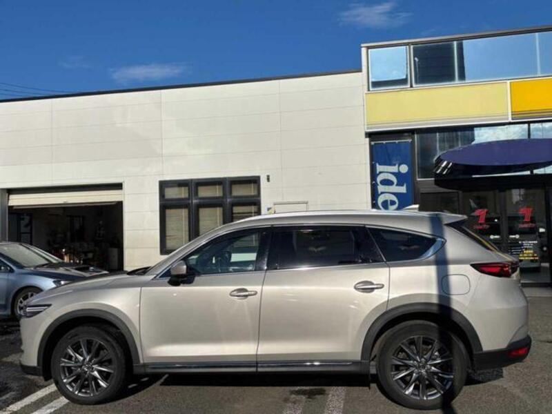 CX-8