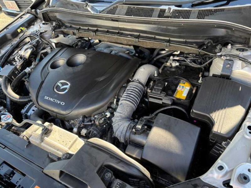 CX-8