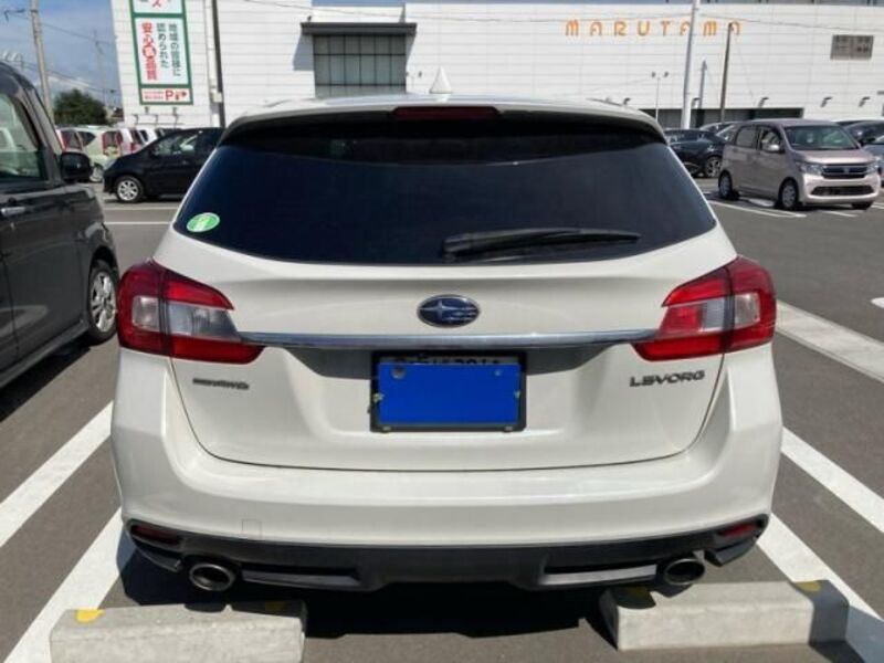 LEVORG