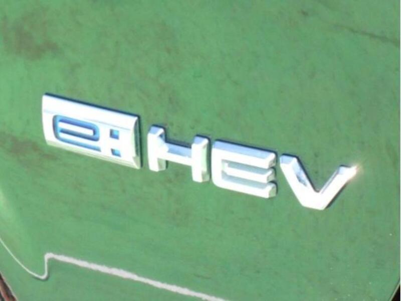 VEZEL