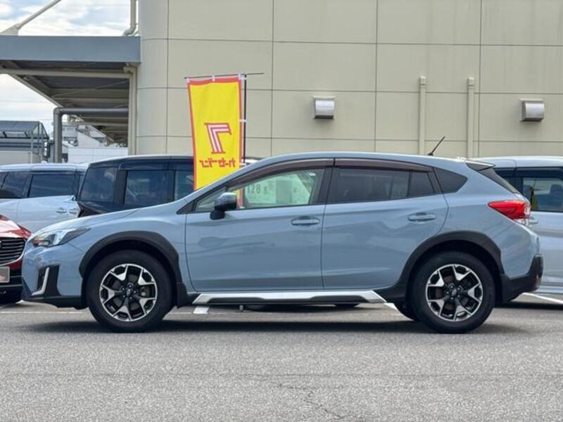 XV