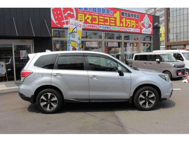 FORESTER