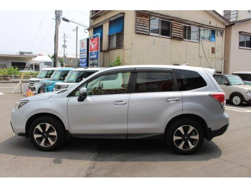 FORESTER