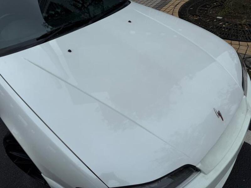 SILVIA