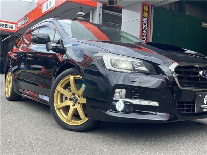 LEVORG
