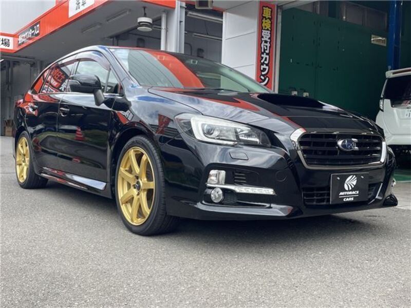 LEVORG