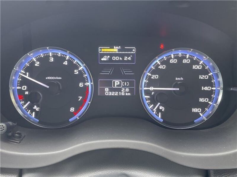 LEVORG