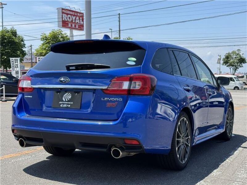 LEVORG