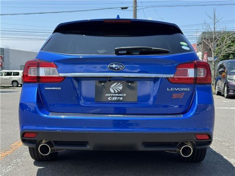 LEVORG