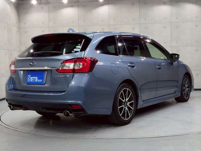 LEVORG