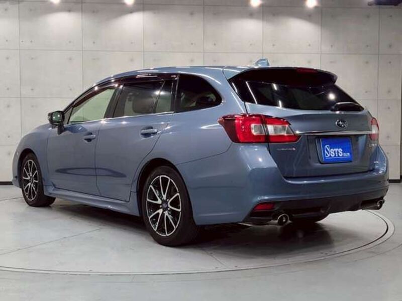 LEVORG