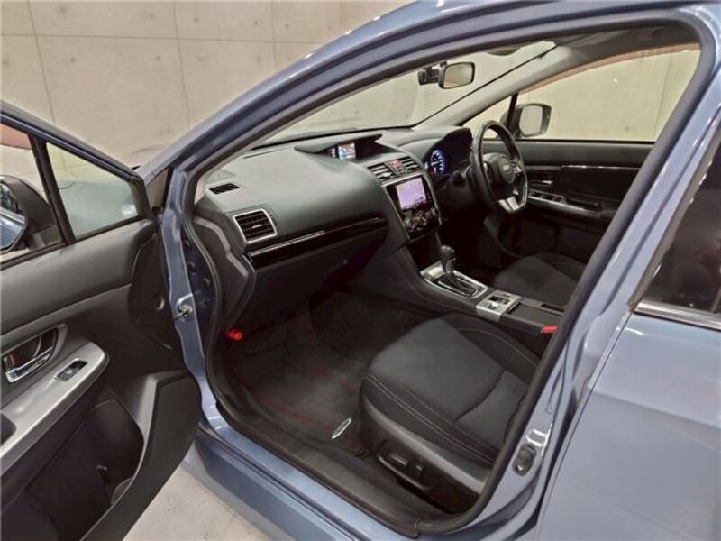 LEVORG