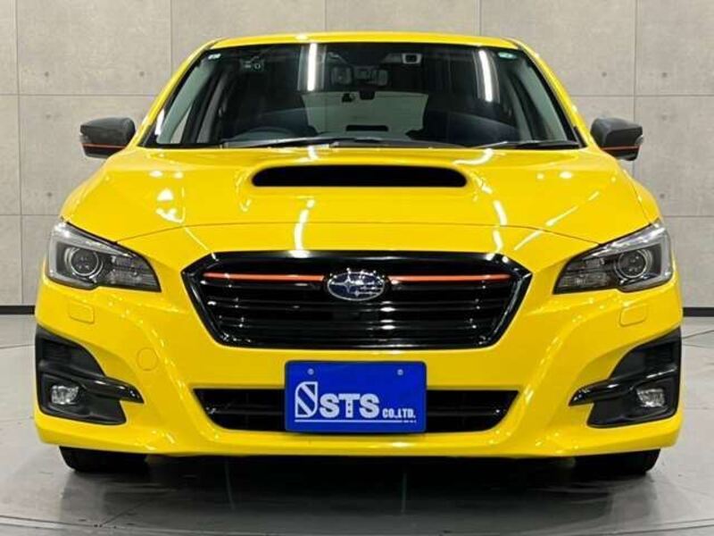 LEVORG
