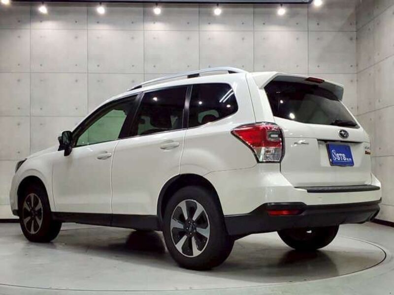 FORESTER