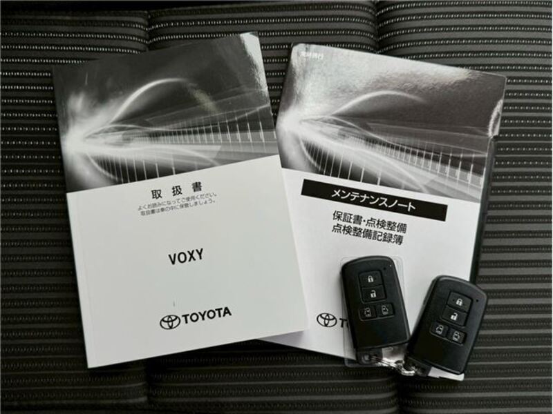 VOXY