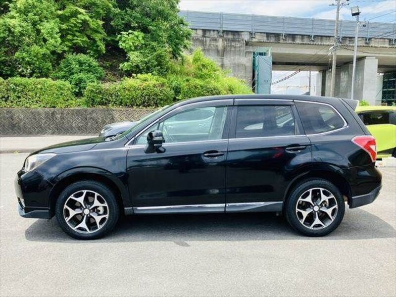 FORESTER