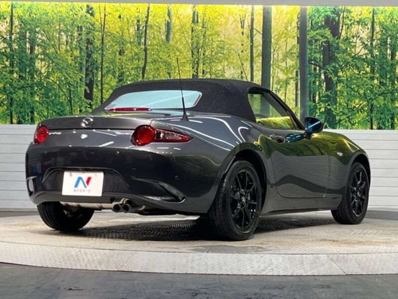 ROADSTER
