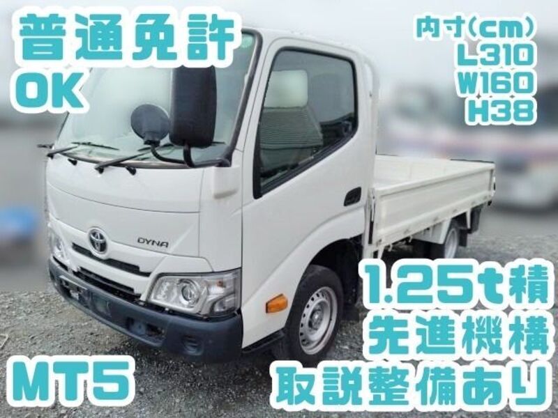TOYOTA DYNA