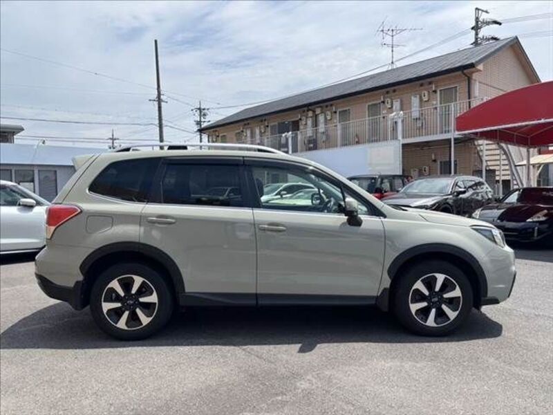 FORESTER