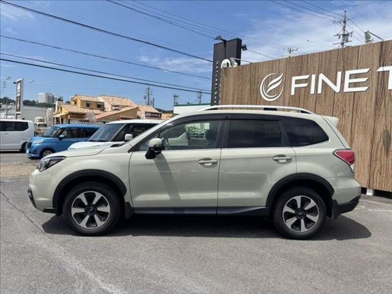 FORESTER