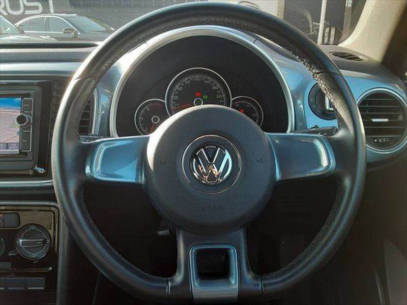 THE BEETLE