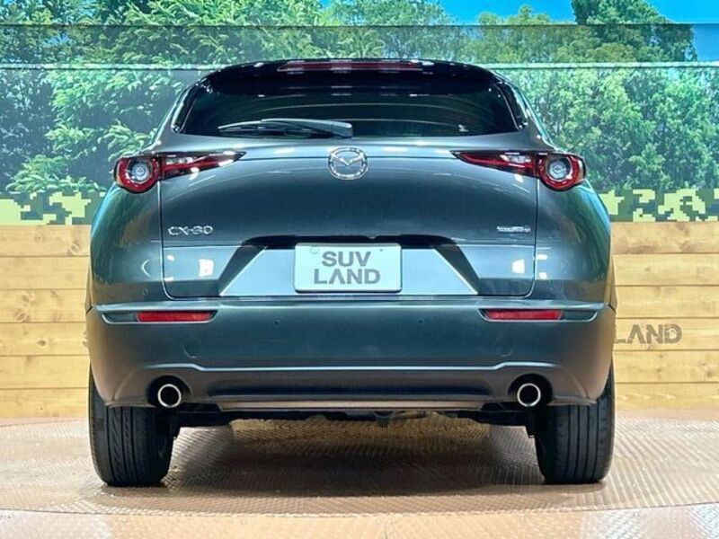 CX-30