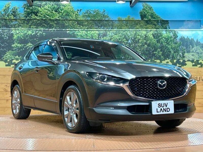 CX-30
