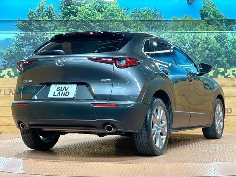 CX-30