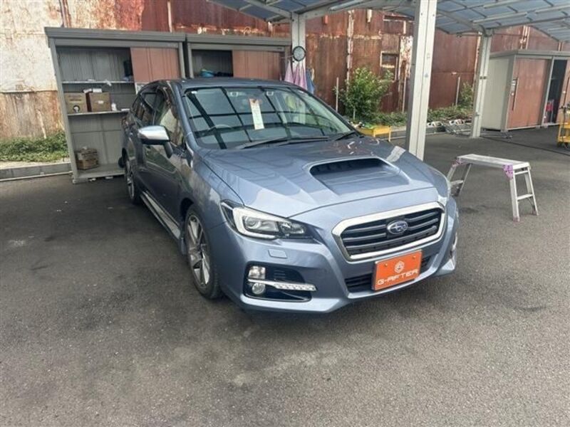 LEVORG-0