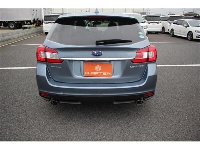 LEVORG