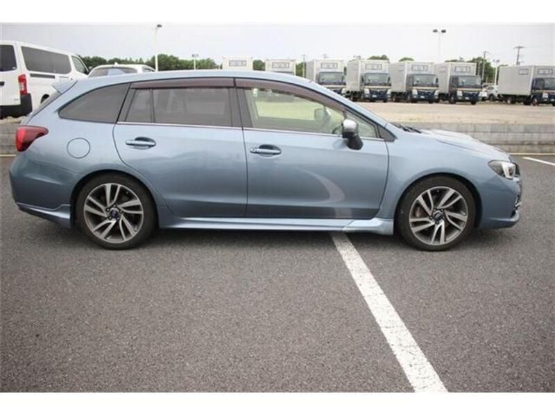 LEVORG