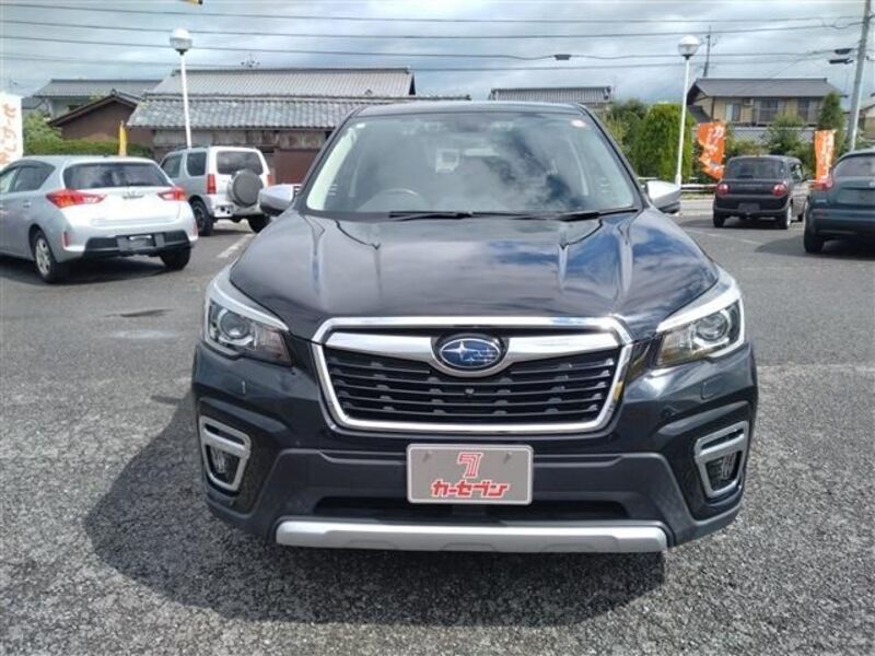 FORESTER