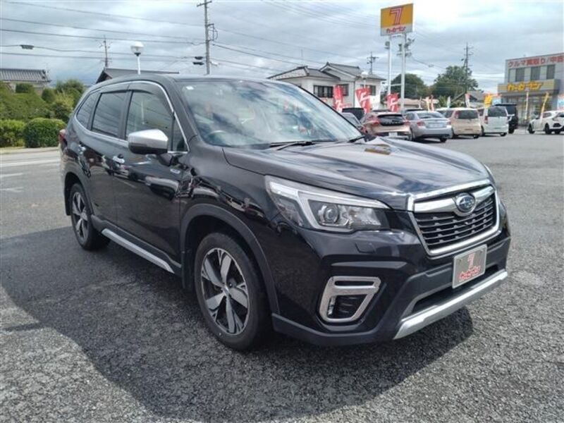 FORESTER