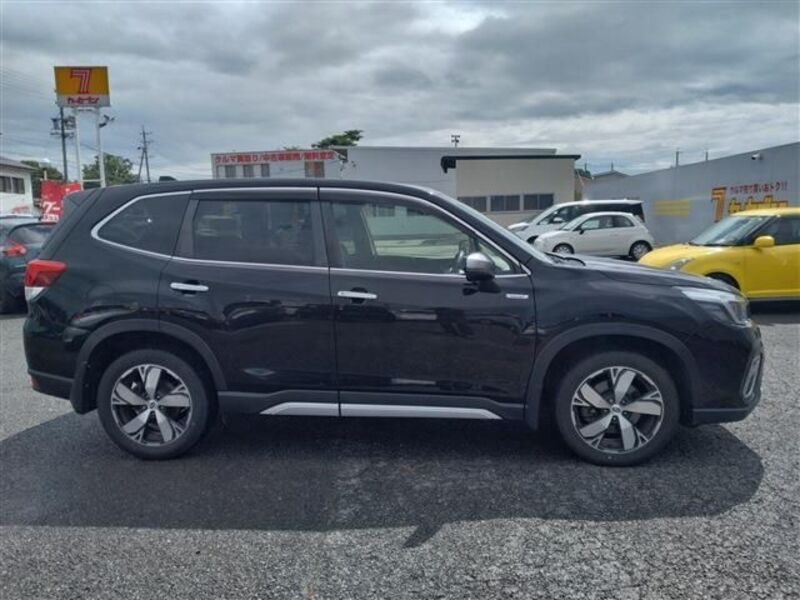 FORESTER
