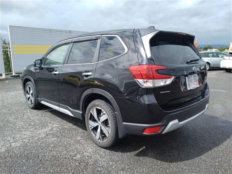 FORESTER