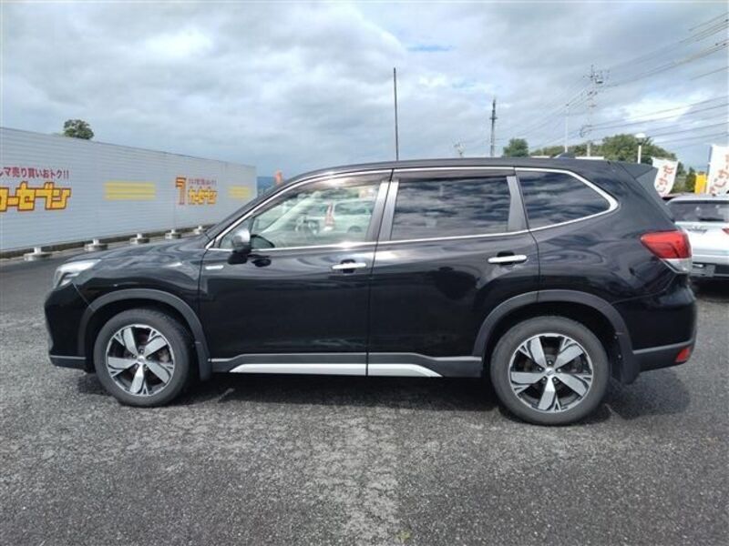 FORESTER