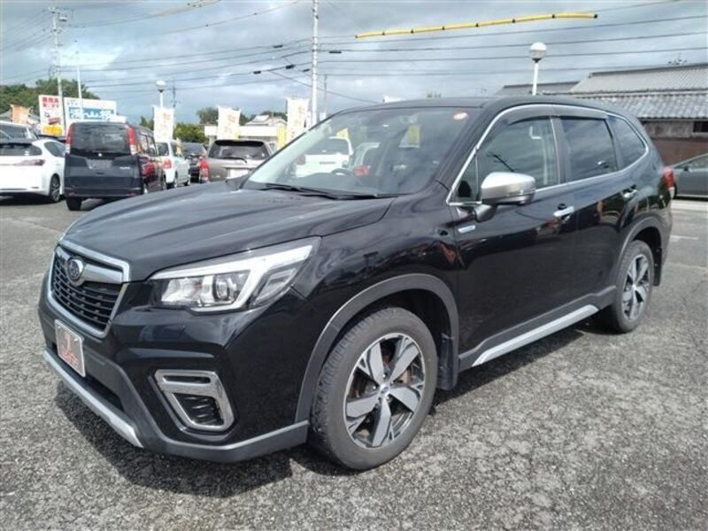 FORESTER