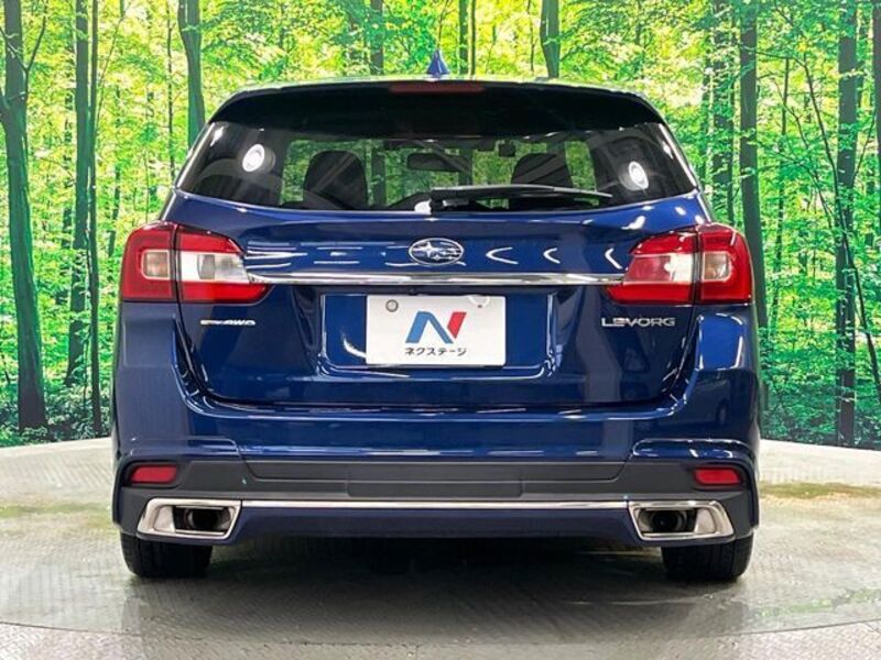 LEVORG