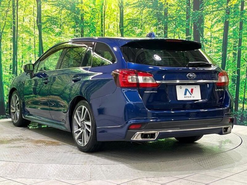 LEVORG