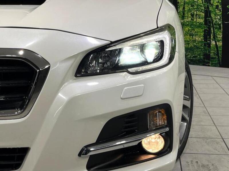 LEVORG