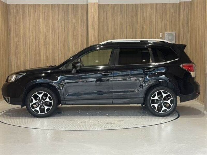 FORESTER