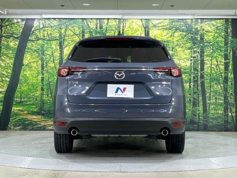 CX-8
