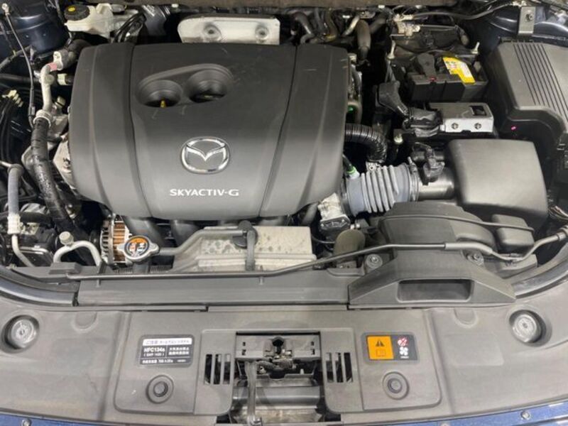 CX-8