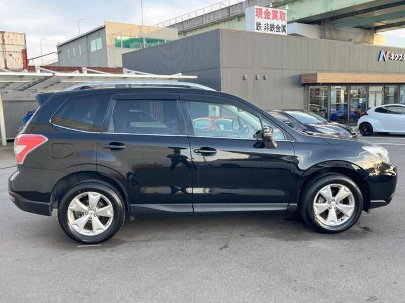 FORESTER