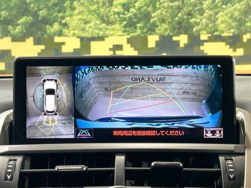NX