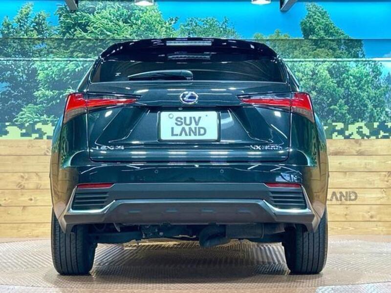 NX