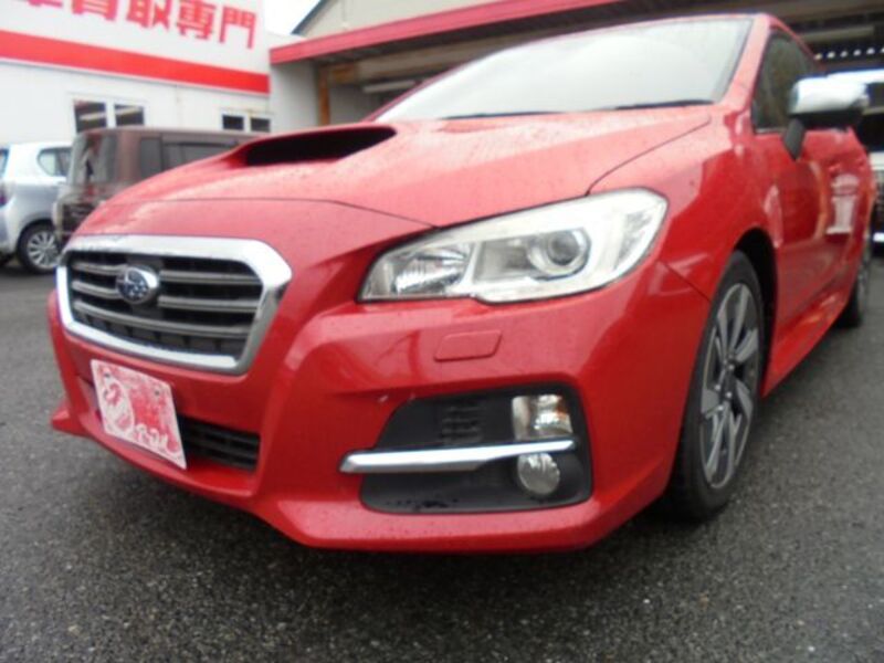 LEVORG-0