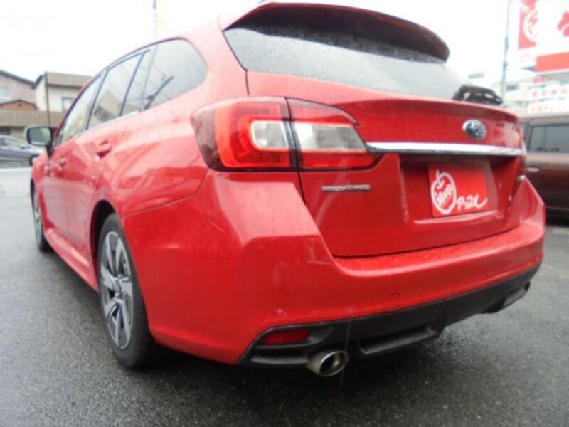 LEVORG